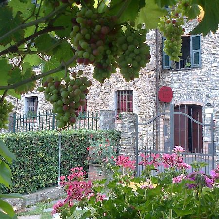 Agriturismo A Veggia Vigna Villa Гарленда Екстериор снимка